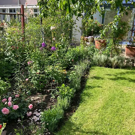 Charmante-ferienwohnung-in-der-fjordstadt Apartamento *
